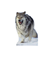 Advanced Graphics Wolf Life Size Cardboard Cutout Standup