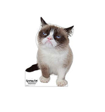 Load image into Gallery viewer, Advanced Graphics Grumpy Cat Life Size Cardboard Cutout Standup
