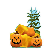 Advanced Graphics Pumpkin Patch Life Size Cardboard Cutout Standup
