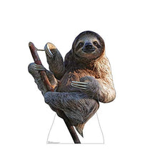 Load image into Gallery viewer, Advanced Graphics Sloth Life Size Cardboard Cutout Standup
