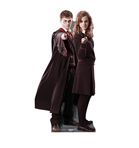 Advanced Graphics Harry Potter & Hermione Granger Life Size Cardboard Cutout Standup - Harry Potter and The Order of The Phoenix