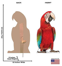 Load image into Gallery viewer, Advanced Graphics Red Parrot Life Size Cardboard Cutout Standup - Made in USA
