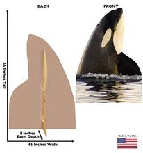 Load image into Gallery viewer, Advanced Graphics Killer Whale Life Size Cardboard Cutout Standup
