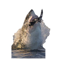 Load image into Gallery viewer, Advanced Graphics Great White Shark Life Size Cardboard Cutout Standup
