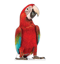 Load image into Gallery viewer, Advanced Graphics Red Parrot Life Size Cardboard Cutout Standup - Made in USA
