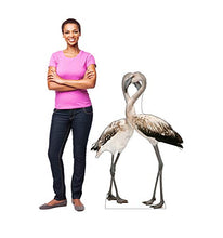 Load image into Gallery viewer, Advanced Graphics Flamingos Life Size Cardboard Cutout Standup
