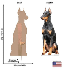 Load image into Gallery viewer, Advanced Graphics Doberman Dog Life Size Cardboard Cutout Standup - Made in USA
