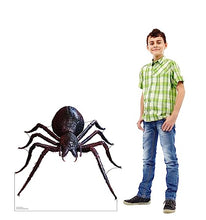 Load image into Gallery viewer, Advanced Graphics Giant Fantasy Spider Life Size Cardboard Cutout Standup - Made in USA
