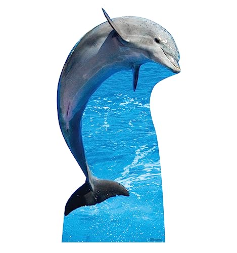 Advanced Graphics Dolphin Life Size Cardboard Cutout Standup - Made in USA
