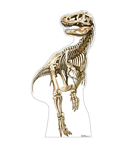 Advanced Graphics Tyrannosaurus Rex Skeleton Life Size Cardboard Cutout Standup