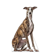 Load image into Gallery viewer, Advanced Graphics Greyhound Dog Life Size Cardboard Cutout Standup - Made in USA
