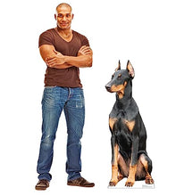 Load image into Gallery viewer, Advanced Graphics Doberman Dog Life Size Cardboard Cutout Standup - Made in USA
