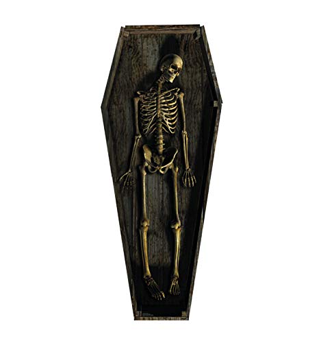 Advanced Graphics Skeleton Casket Life Size Cardboard Cutout Standup