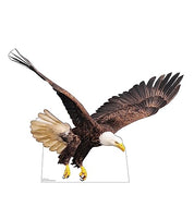 Advanced Graphics Flying Bald Eagle Life Size Cardboard Cutout Standup - Made in USA