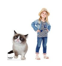 Load image into Gallery viewer, Advanced Graphics Grumpy Cat Life Size Cardboard Cutout Standup
