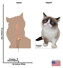 Load image into Gallery viewer, Advanced Graphics Grumpy Cat Life Size Cardboard Cutout Standup
