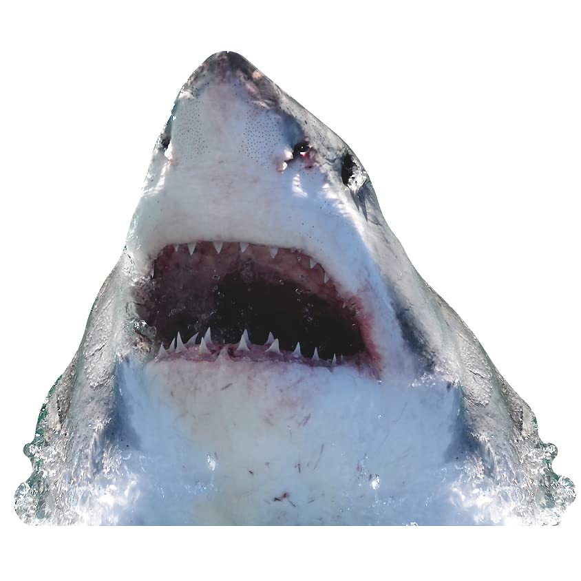 SP12617 Great White Shark Out of Water Jaws Open Cardboard Cutout Standee Standup