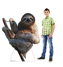 Load image into Gallery viewer, Advanced Graphics Sloth Life Size Cardboard Cutout Standup
