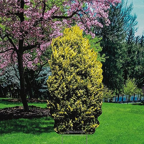 YSH3012 Nature Garden Bush Shrub Plant Plastic Outdoor Yard Sign Lawn Sign Decoration Cutout