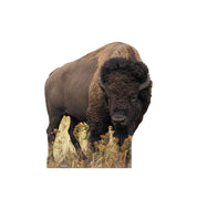 Advanced Graphics Bison Life Size Cardboard Cutout Standup