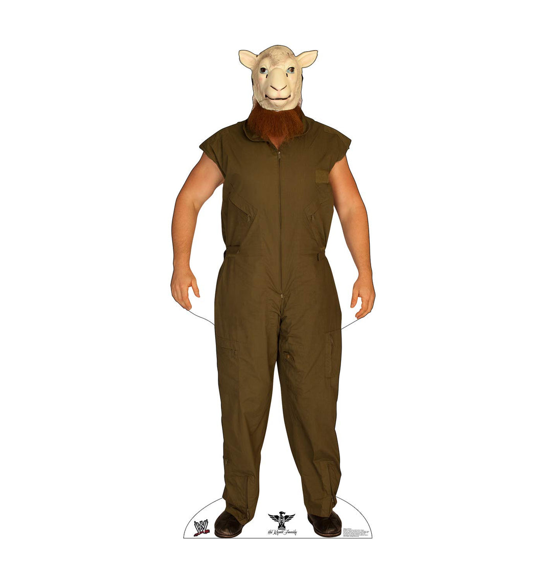 Advanced Graphics WWE Erick Rowan Cardboard Standup