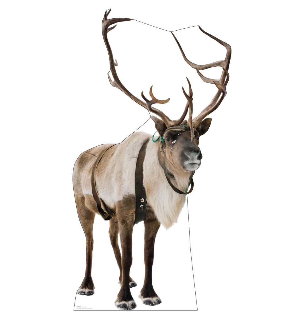 Advanced Graphics Reindeer Life Size Cardboard Cutout Standup - Made in USA