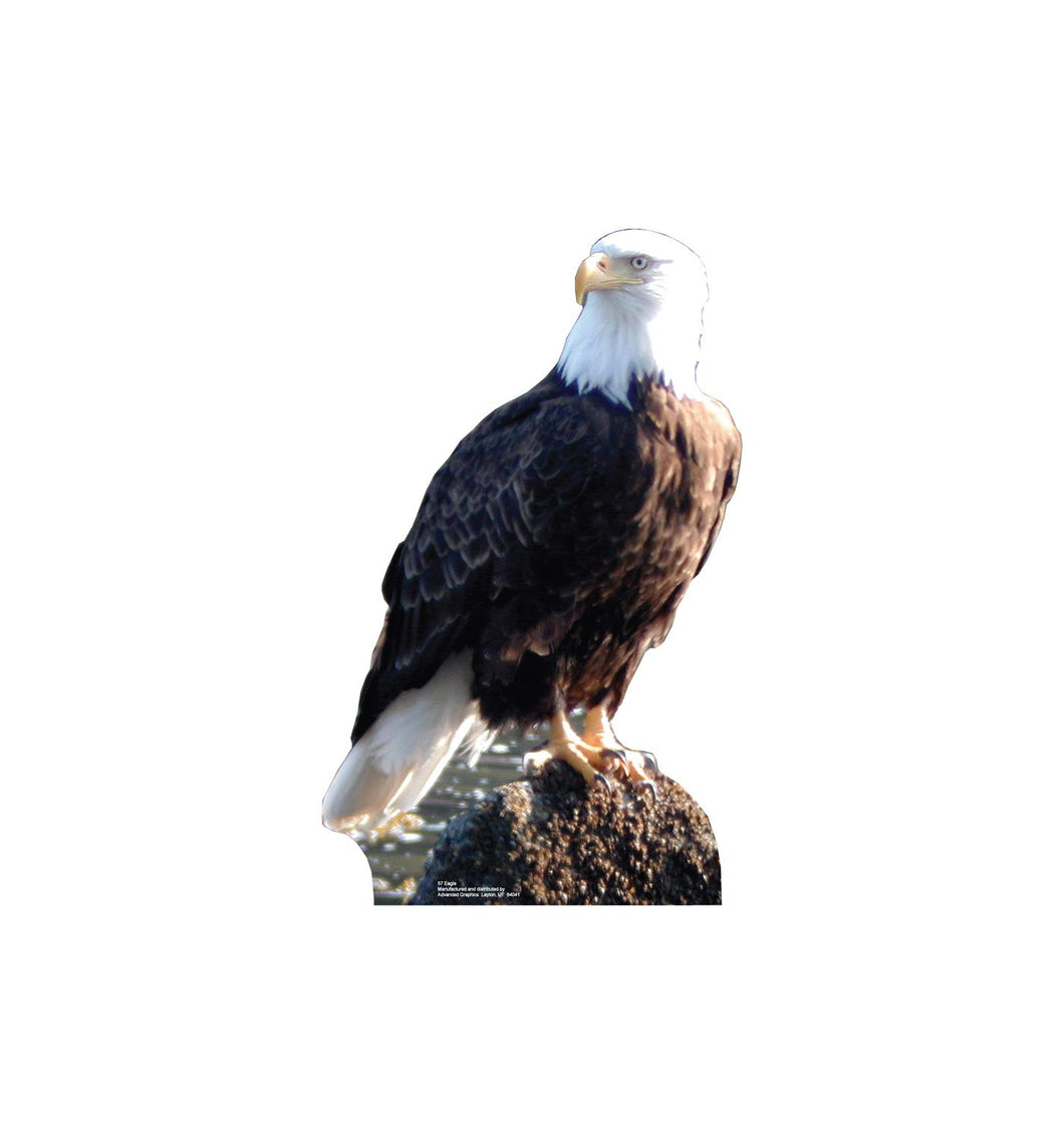 Advanced Graphics Bald Eagle Life Size Cardboard Cutout Standup