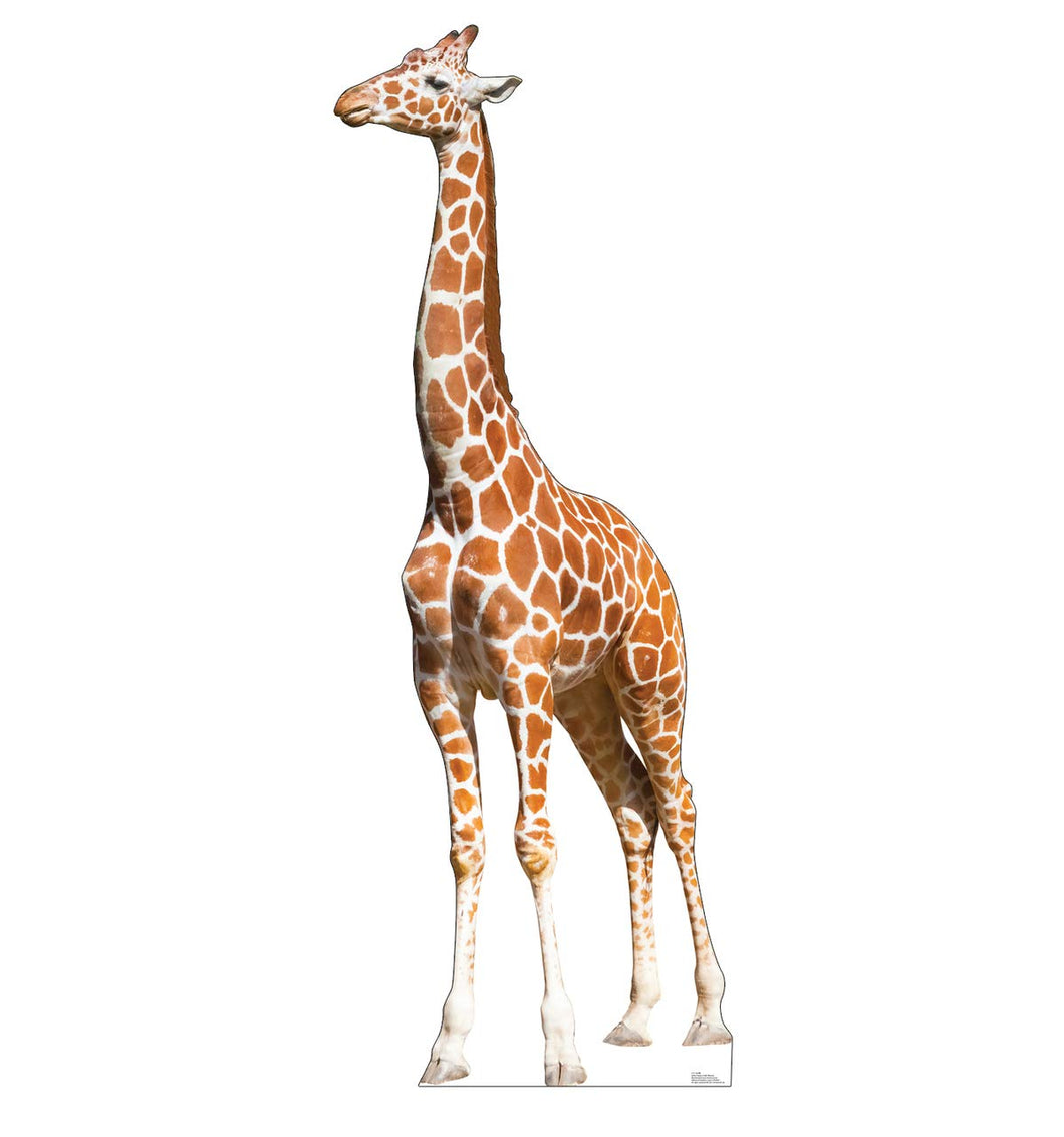 Advanced Graphics Giraffe Life Size Cardboard Cutout Standup