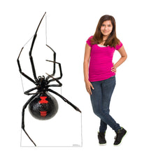 Load image into Gallery viewer, Advanced Graphics Giant Black Widow Spider Life Size Cardboard Cutout Standup - Made in USA
