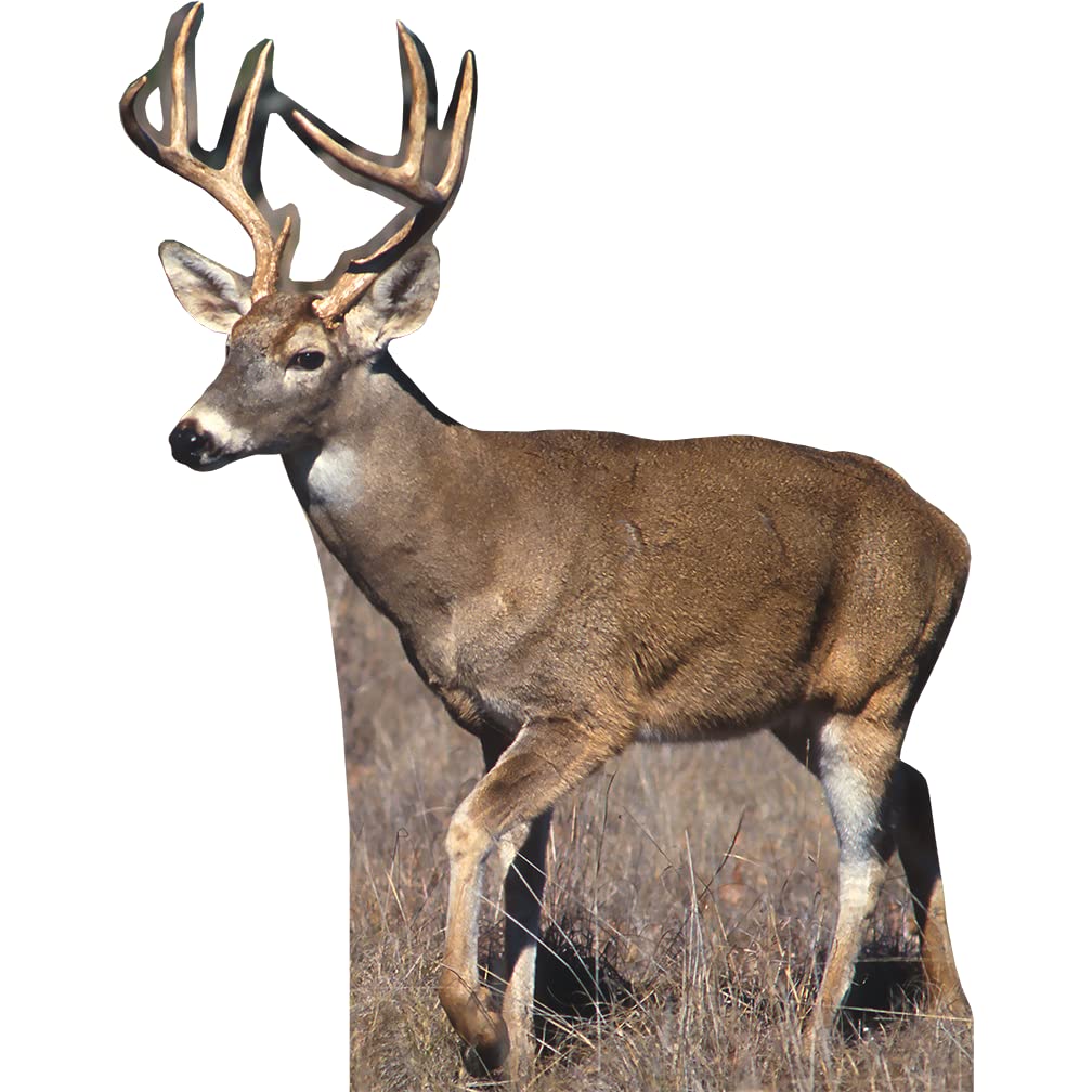 H13487 White Tail Buck Deer 2 Cardboard Cutout Back Drop Stand up