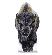 Advanced Graphics Yellowstone Bison Life Size Cardboard Cutout Standup - Made in USA