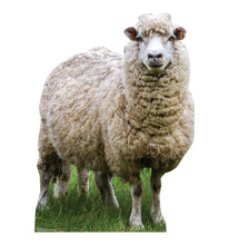 Load image into Gallery viewer, Advanced Graphics Sheep Life Size Cardboard Cutout Standup - Made in USA
