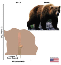 Load image into Gallery viewer, Advanced Graphics Grizzly Bear Life Size Cardboard Cutout Standup
