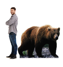 Load image into Gallery viewer, Advanced Graphics Grizzly Bear Life Size Cardboard Cutout Standup
