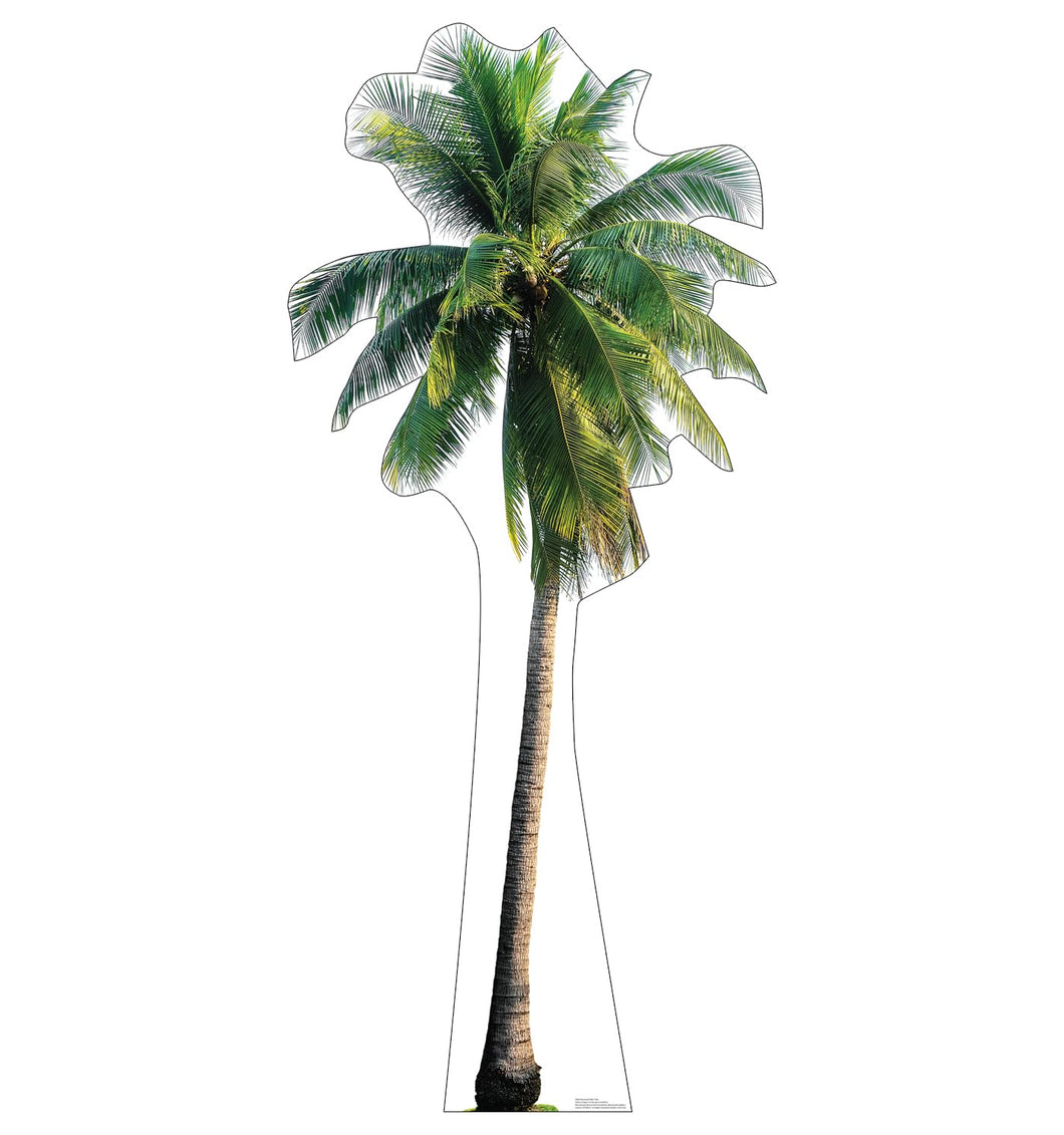 Advanced Graphics Tropical Palm Tree Life Size Cardboard Cutout Standup