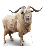 Advanced Graphics Wild Mountain Goat Life Size Cardboard Cutout Standup - Made in USA