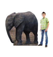 Load image into Gallery viewer, Advanced Graphics Elephant Life Size Cardboard Cutout Standup
