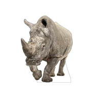 Advanced Graphics White Rhinoceros Life Size Cardboard Cutout Standup