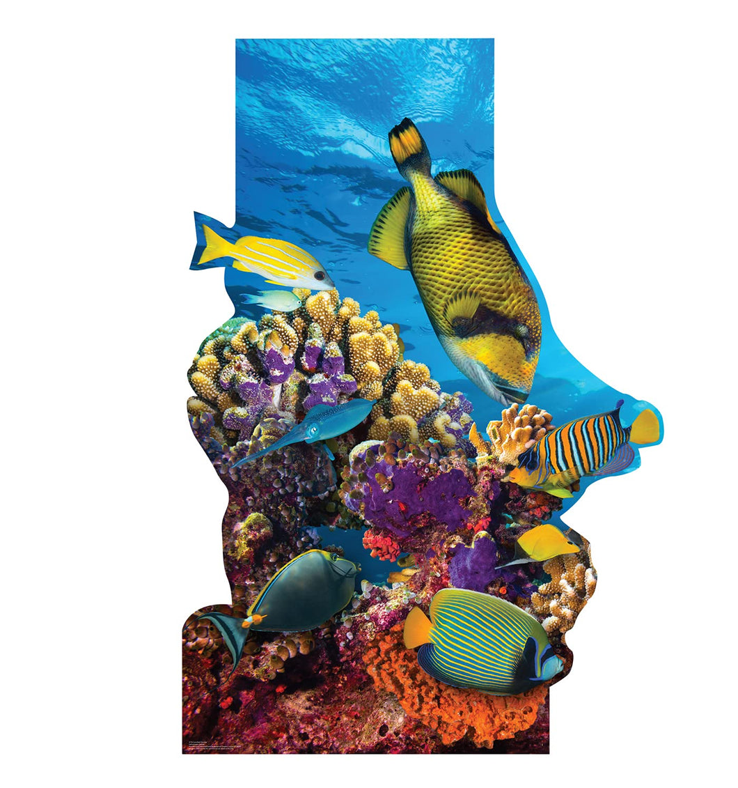 Advanced Graphics Coral Reef Standee Life Size Cardboard Cutout Standup