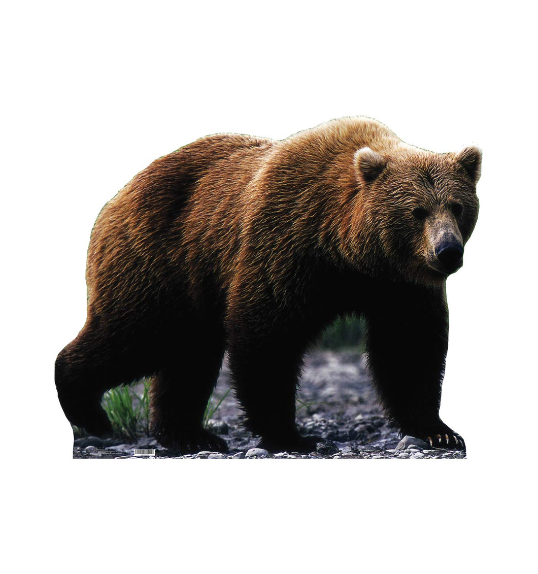 Advanced Graphics Grizzly Bear Life Size Cardboard Cutout Standup