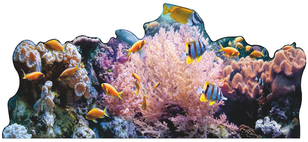 SP12556 Coral Reef Ocean Floor Backdrop Cardboard Cutout Standee Standup