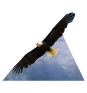 Advanced Graphics American Eagle Life Size Cardboard Cutout Standup - Made in USA - AT TEN Distribution