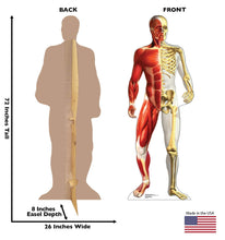 Load image into Gallery viewer, Advanced Graphics Anatomy Half Muscle Half Skeleton Life Size Cardboard Cutout Standup - AT TEN Distribution
