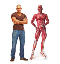 Load image into Gallery viewer, Advanced Graphics Anatomy Muscle System Life Size Cardboard Cutout Standup - AT TEN Distribution
