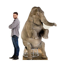 Load image into Gallery viewer, Advanced Graphics Asian Elephant Life Size Cardboard Cutout Standup - AT TEN Distribution
