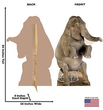 Load image into Gallery viewer, Advanced Graphics Asian Elephant Life Size Cardboard Cutout Standup - AT TEN Distribution
