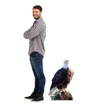 Load image into Gallery viewer, Advanced Graphics Bald Eagle Life Size Cardboard Cutout Standup - AT TEN Distribution
