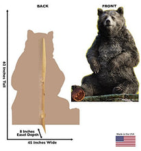 Load image into Gallery viewer, Advanced Graphics Baloo Life Size Cardboard Cutout Standup - Disney&#39;s The Jungle Book (2016) - AT TEN Distribution
