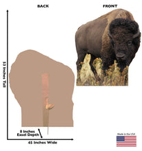 Load image into Gallery viewer, Advanced Graphics Bison Life Size Cardboard Cutout Standup - AT TEN Distribution
