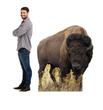 Load image into Gallery viewer, Advanced Graphics Bison Life Size Cardboard Cutout Standup - AT TEN Distribution
